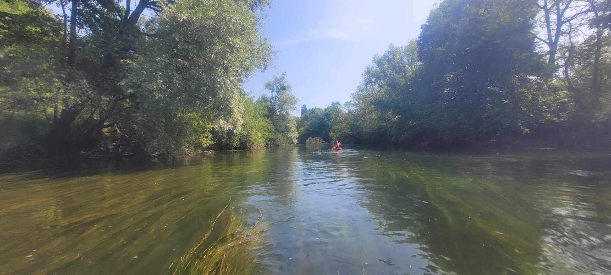 Detente A Sorques Montigny-sur-Loing Dış mekan fotoğraf